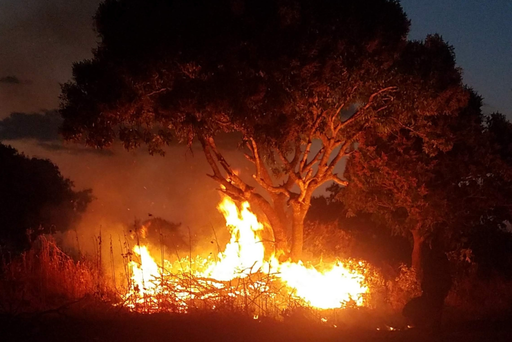 Fire in community