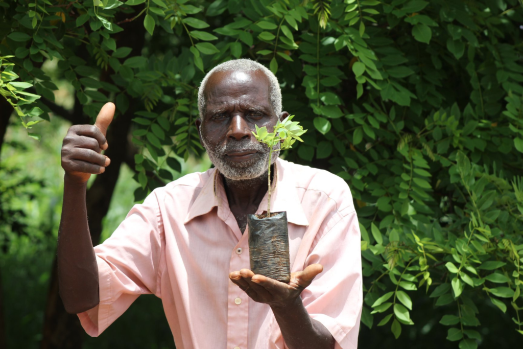 Farmer with Gliricidia Seedling